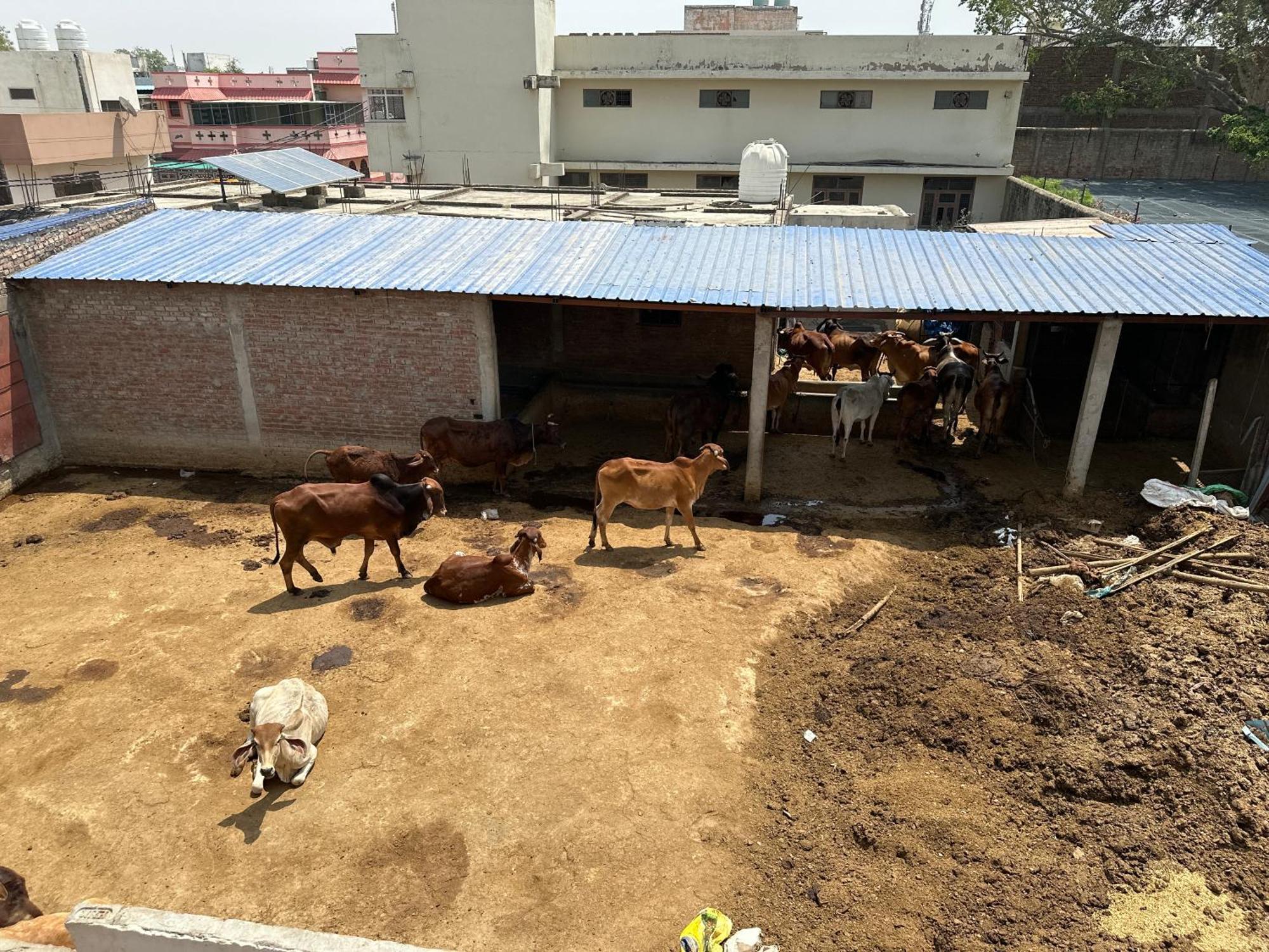 Guest house Radhey Radhey Seva Sadan Vrindavan